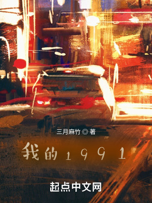 我的1991txt小说